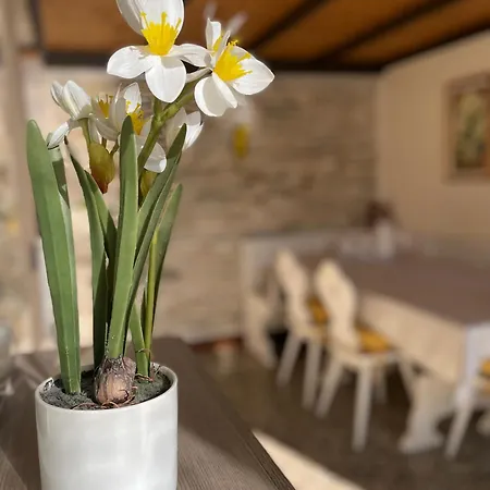 Elena Casa Turistica Appartamento *